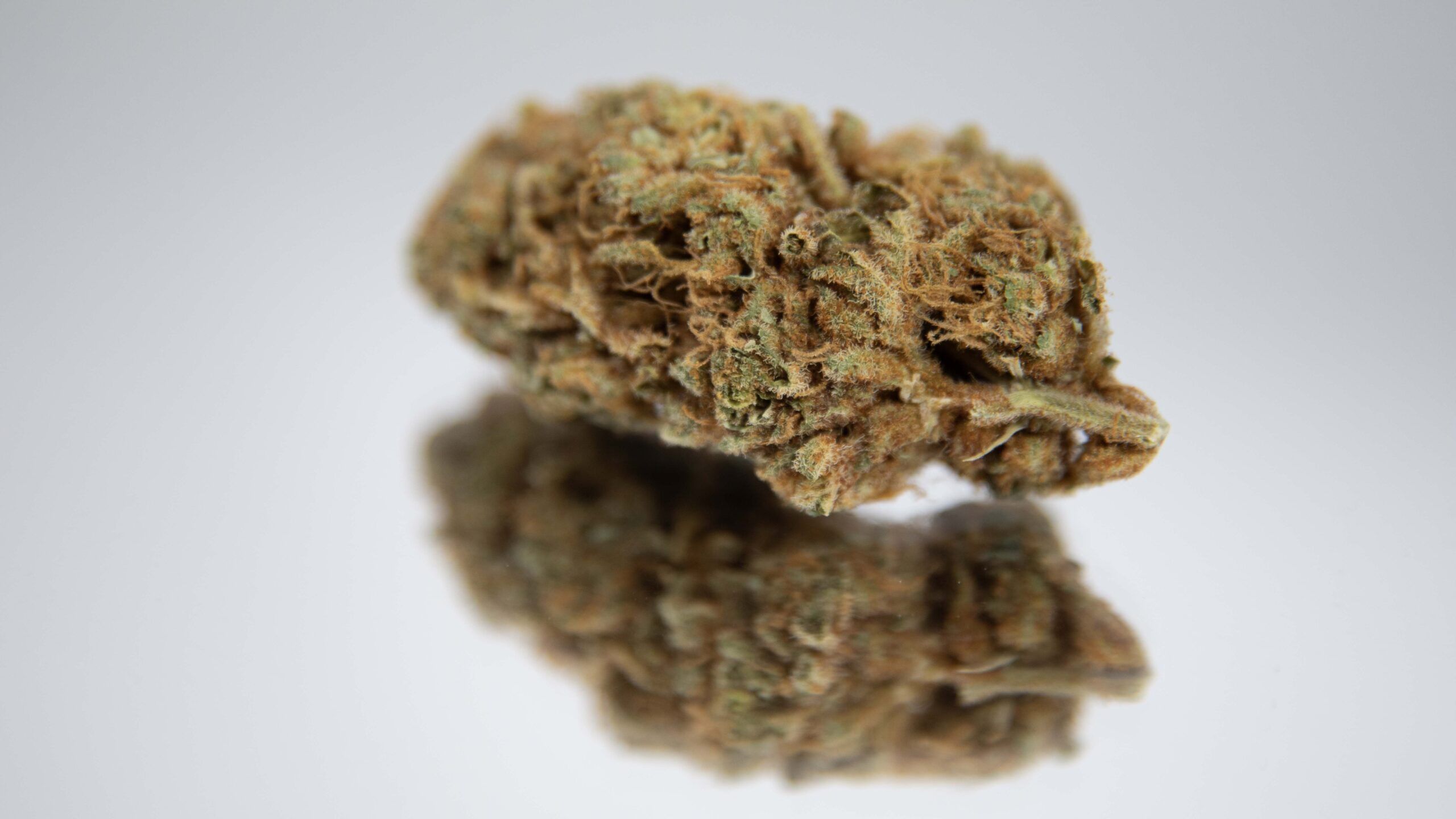 High-Tech Cannabis Cultivation in Nevada: Spotlight on Flower One